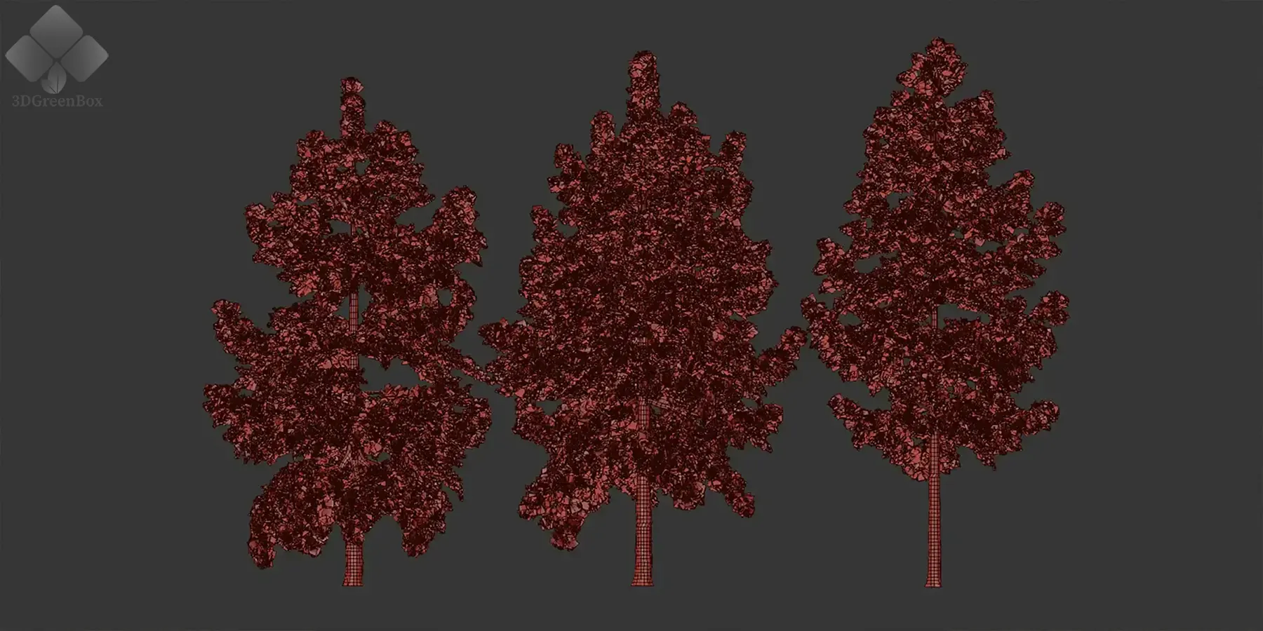 3dgreenbox.com-conifer trees collection vol 86-06 conifer trees 3d models
