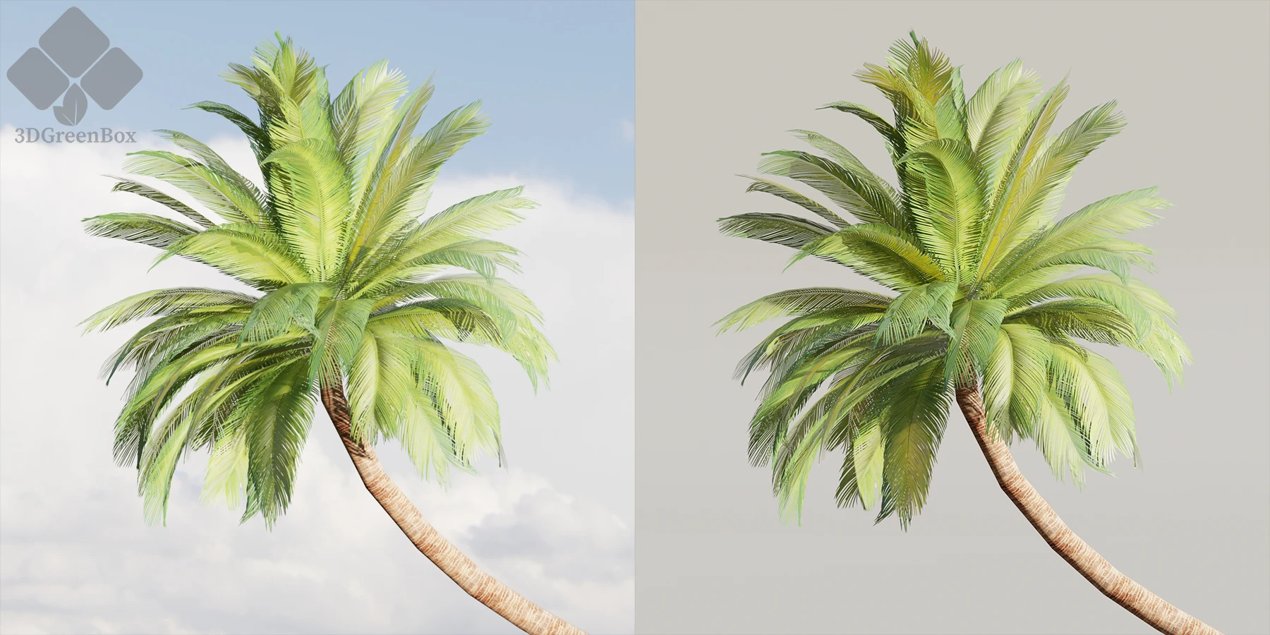 3dgreenbox.com-Low-Poly-Palm-Trees-Collection-vol-280-04