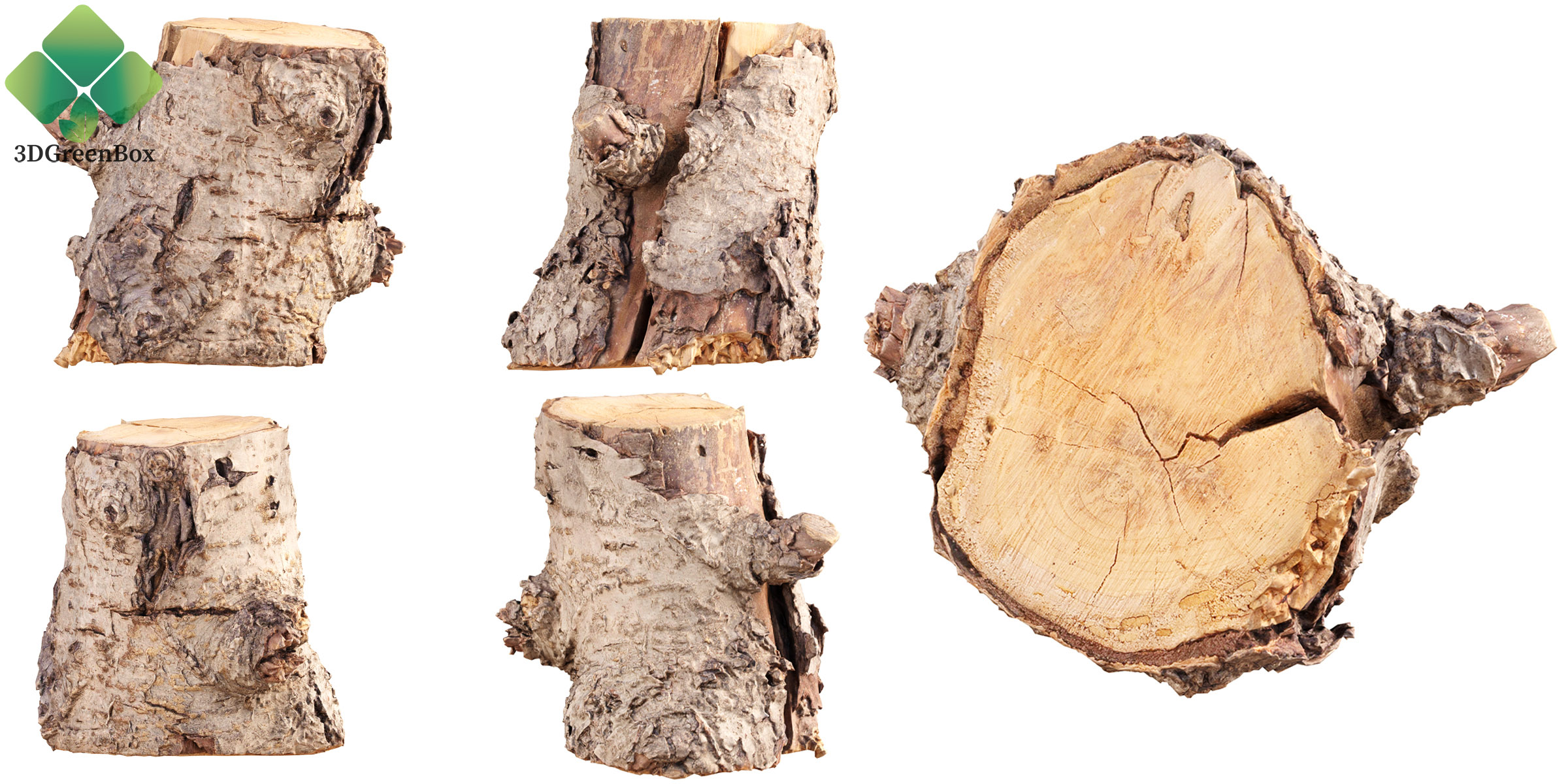 Multi-Angle View of Scanned Tree Log Model