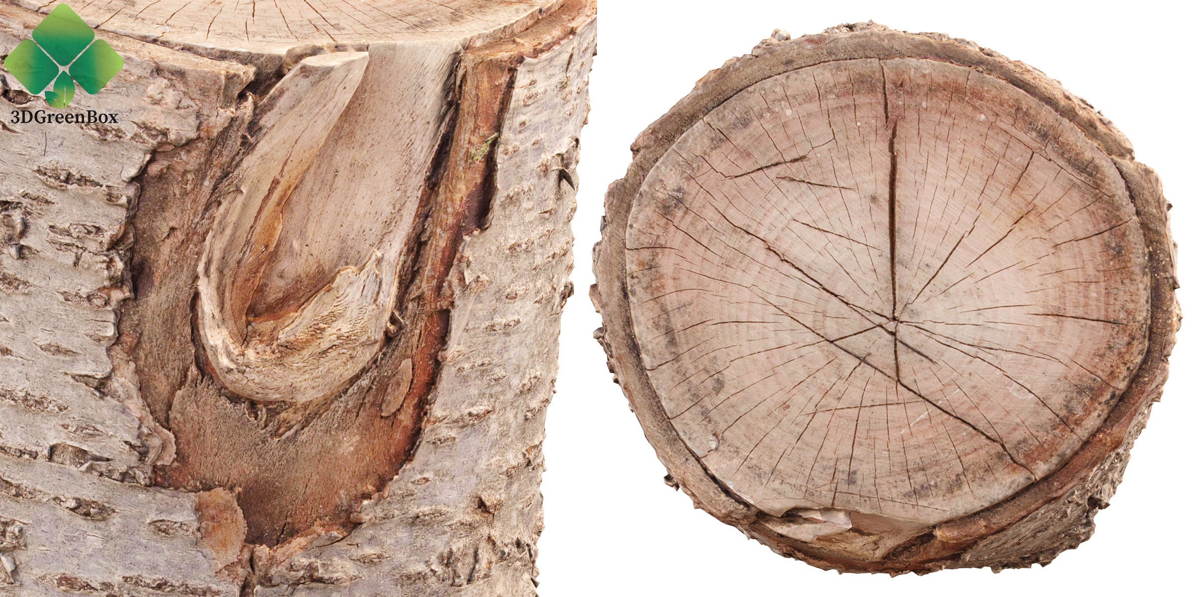 www.3dgreenbox.com-02 Tree Log 3D Model – multi-angle views highlighting bark texture and end grain