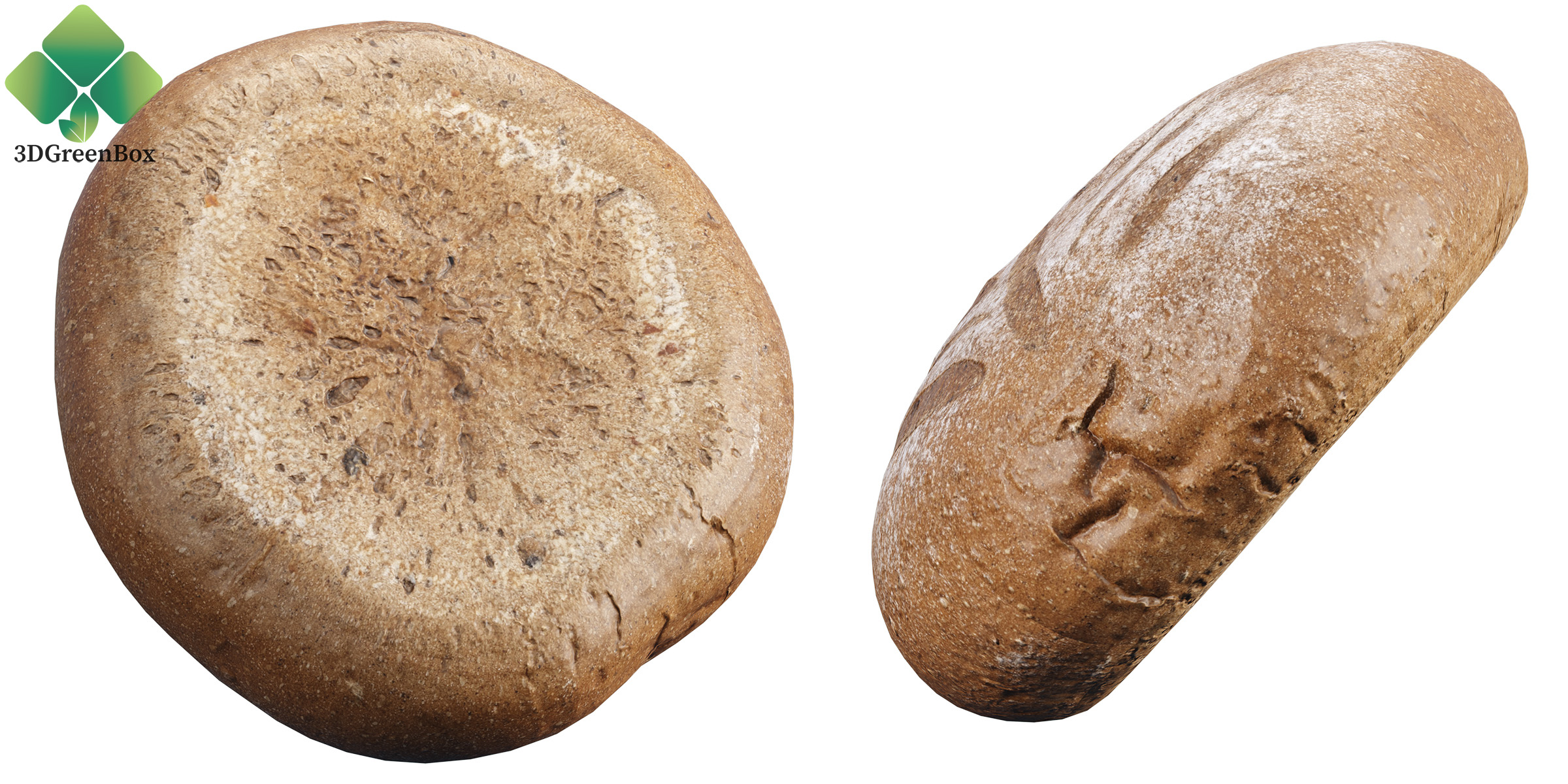 Rustic Bread 3D Model with detailed bottom and side view