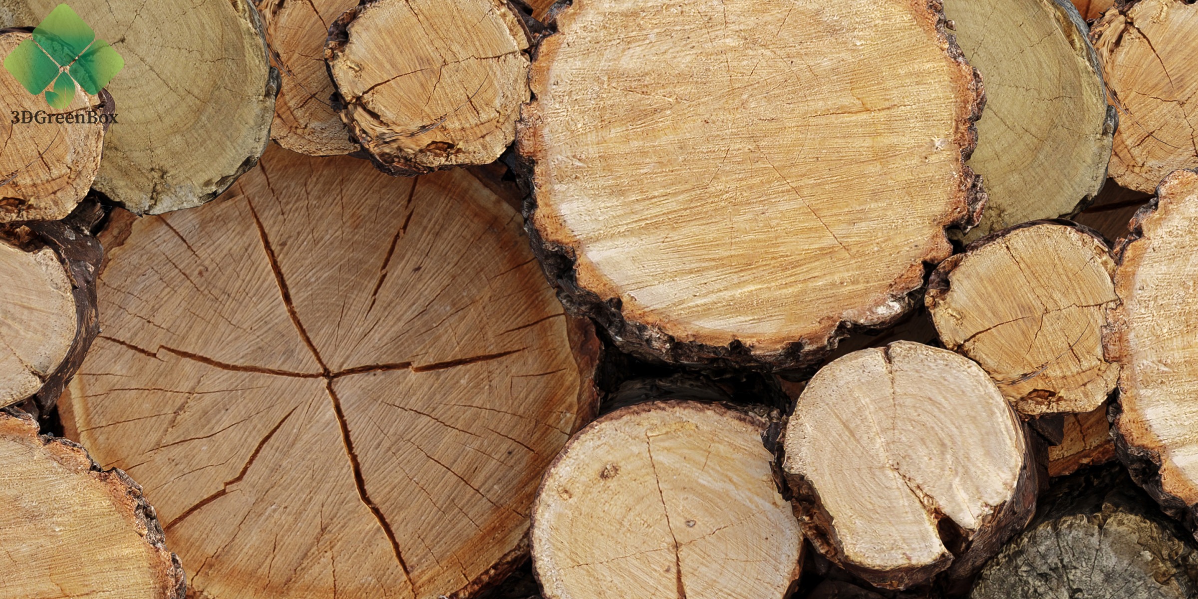 www.3dgreenbox.com-06 Close-up view of cross-cut tree logs with visible grain and concentric rings